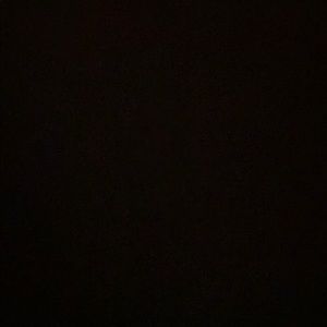 Meet your Posher, Fifi